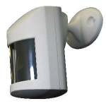 Motion Detectors